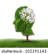 stock photo : Brain function loss and dealing With dementia and Alzheimer's disease as a medical icon of a tree in the shape of a human head and brain with lost leaves as challenges in intelligence and memory.