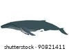 Humpback Whale Vector