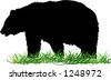 California Bear Silhouette