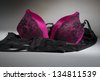 Violet bra and black female underwear on gray background - stock photo