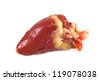 Chicken Heart Diagram