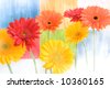 Colorful+daisies+background