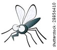 Funny Mosquito Pics