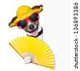 stock-photo-summer-cocktail-dog-cooling-off-with-hand-fan-behind-banner-136893386
