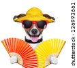 stock-photo-summer-dog-with-two-hand-fans-waving-136993661