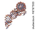 Transfer Rna Definition