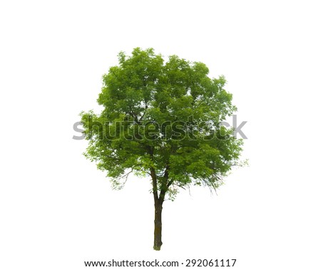 trees silhouettes stock illustration image of color 43384093 image nature tree silhouette vector illustration stock vector 417429007 trees silhouettes stock illustration image of color 43384093 image nature tree silhouette vector illustration stock vector 417429007