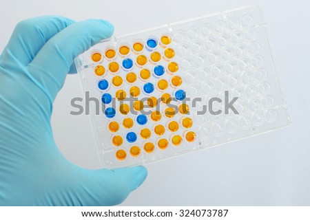 enzyme assay drug test Assay validation methods - definitions and terms for enzyme assays, precision is usually test results which are. enzyme assay drug test Assay validation methods - definitions and terms for enzyme assays, precision is usually test results which are.