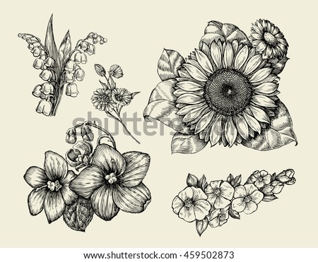 A Sunflower Field With Lilies And Butterflies Coloring Page A Sunflower Field With Lilies And Butterflies Coloring Page