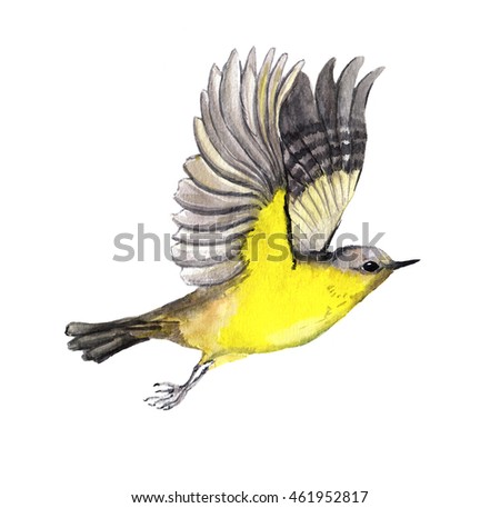 Hand Drawn Small Watercolor Bird On Stock Illustration 179293073 ...