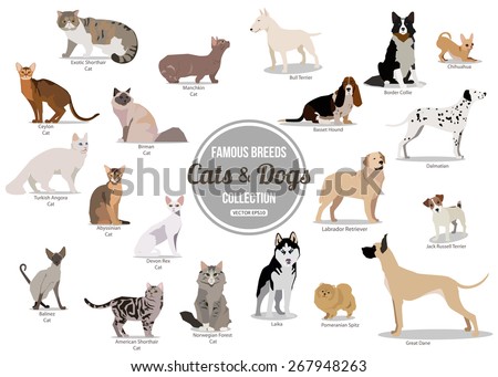 Set Flat Sitting Walking Cute Cartoon Stock Vector 267948263  Shutterstock