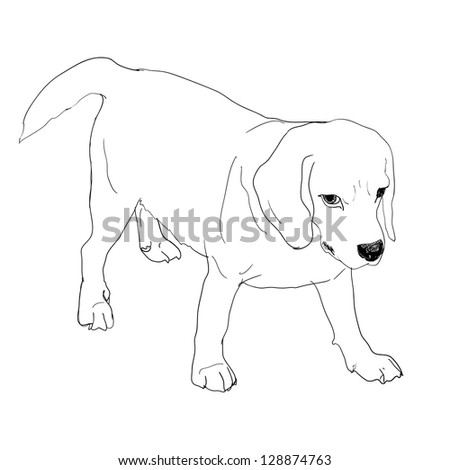 Vector Sketch Drawing Pitbull Barking Stok Vektör 176607161 - Shutterstock