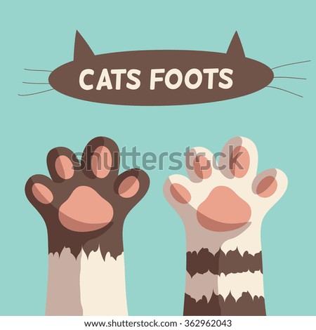 Cat Paws Stock Vector 417469627 - Shutterstock