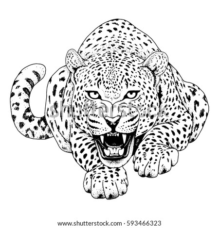 leopard face tattoo vector illustration print stock vector leopard face tattoo vector illustration print stock vector