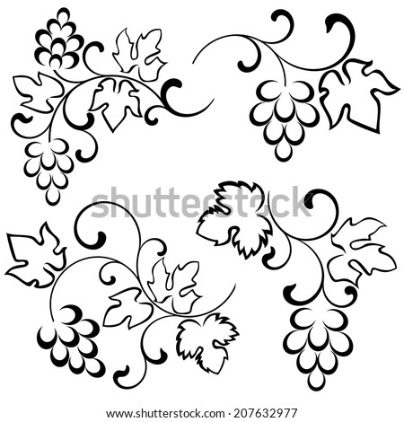 Grapevine Vector Wine Design Elements Stock Vector 117484858 - Shutterstock