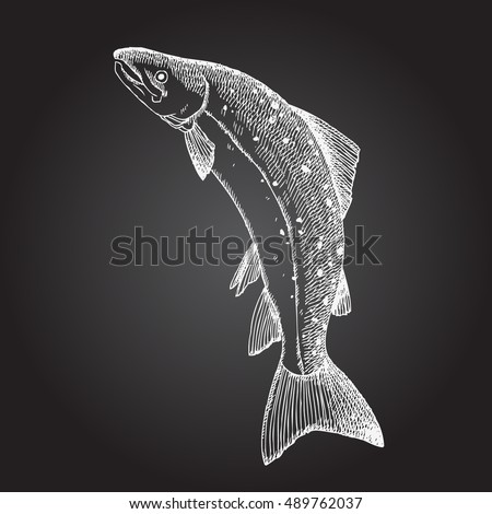 Jumping Salmon Fish Hand Drawn Illustration Stock Vector 489762034