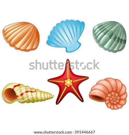 Set Seashells Star Underwater Design Such Stock Vector 94916866 ...