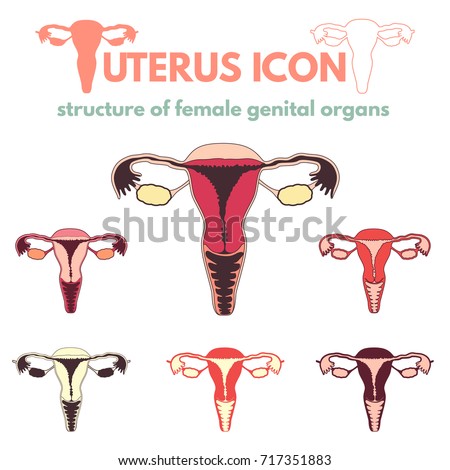 Types Hysterectomy Surgical Removal Uterus Vector Stock Vector