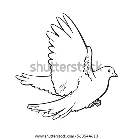 Free Flying White Dove Sketch Style Stock Vector 549147421 - Shutterstock