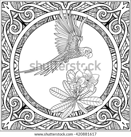Tropical Animals And Plants On Decorative Pattern Background Outline Drawing Vector Illustration Good