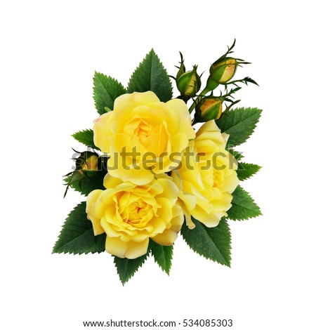 Pink Rose Flowers Arrangement Isolated On Stock Photo 557131978 ...