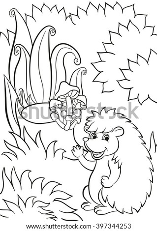 Coloring Pages Wild Animals Mother Fox Stock Vector 437879872