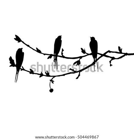 Vector Silhouettes Birds Roosting On Telegraph Stock Vector 44075899 ...