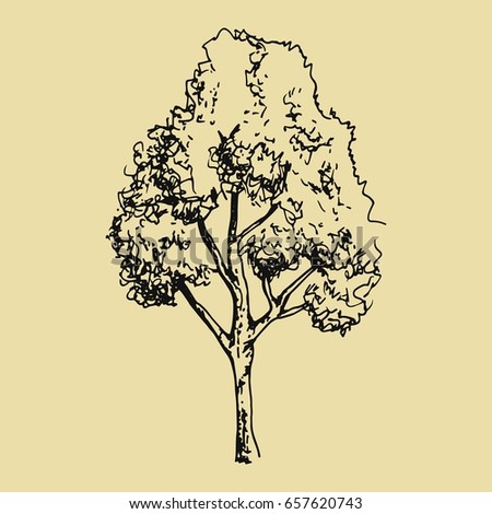 Tree Drawing Stock Vector 54409027 - Shutterstock