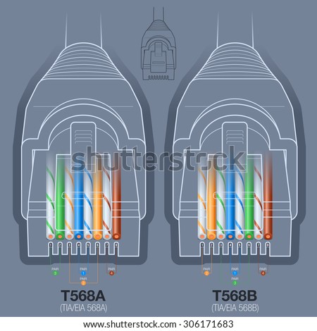 Rj45 Network Connector T568at568b Wiring Diagram Stock ... t568a vs t568b diagram 