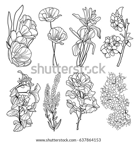 Free Free Flower Line Svg 507 SVG PNG EPS DXF File