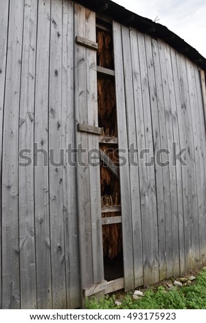Old Shack Door Z Shaped Brace Stock Photo 12308404 