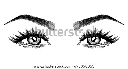 illustration womans eye eyebrow makeup look stock vector illustration womans eye eyebrow makeup look stock vector