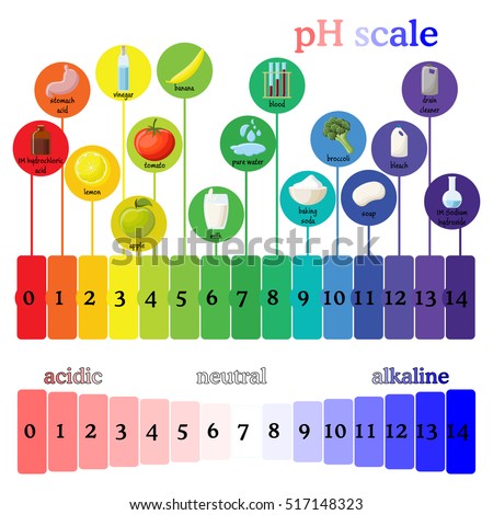 Ph paper scale