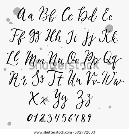 Elegant Handwritten Script Font Design Vector calligraphy ...