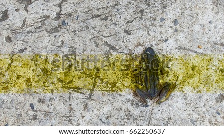 Gnu Migration On Mara River Maasai Stock Photo 388684306 - Shutterstock