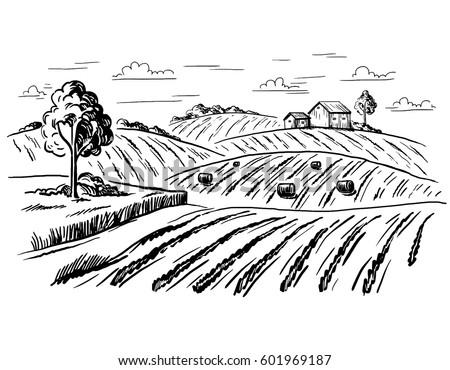 Vector Illustration Landscape Nature Agrarian Fields Stock Vector