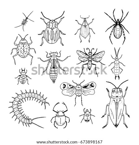 20 Vector Black Images Insects On Stock Vector 169880933 - Shutterstock