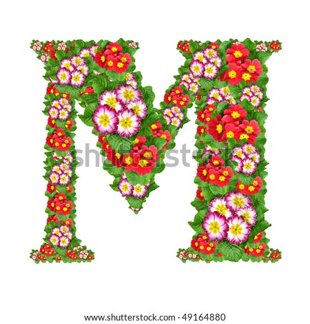 Fruit Vegetable Letter M Stock Photo 47026498 - Shutterstock