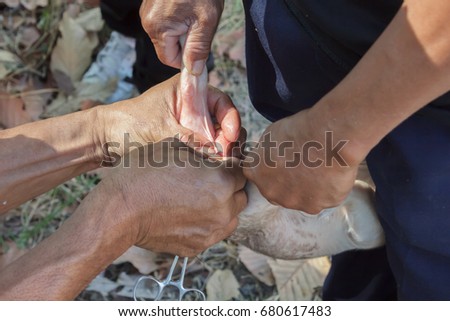 new york gay clubs from Kendall bowel infections gay men