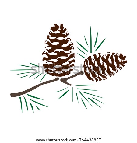 Pinecone Collection Stock Vector 94197610 - Shutterstock