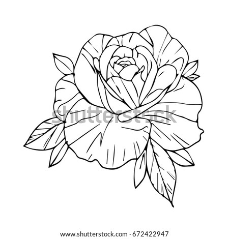 peony background vector illustration vintage floral stock vector peony background vector illustration vintage floral stock vector