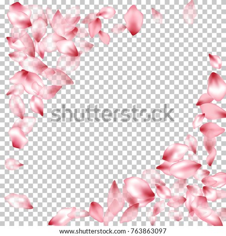 Corner Borders Flying Petals Isolated On Stock Vector 737337286