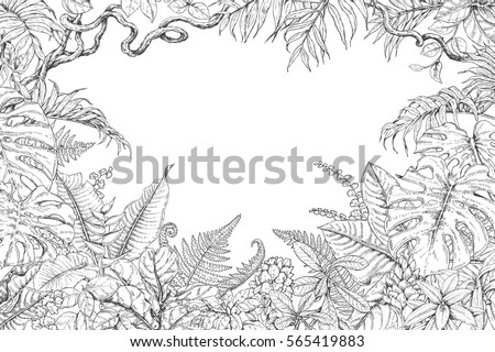 Hand Drawn Branches Leaves Tropical Plants Stock Vector 570325849 ...