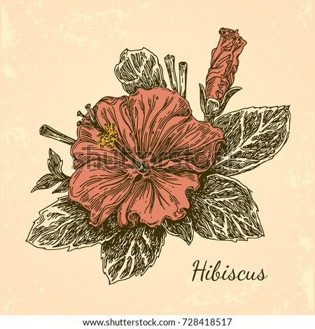 Vector Vintage Card Wedding Invitation Botanical Stock