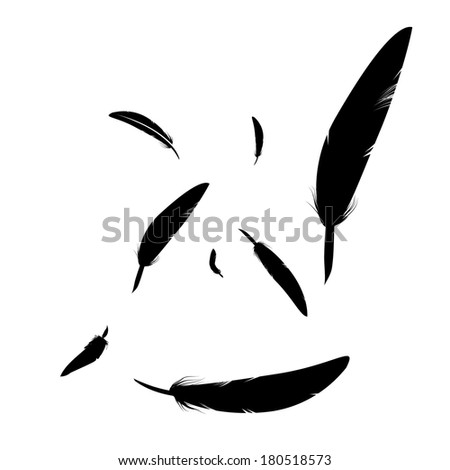 Vector Black Feather Icons Set Stock Vector 165277973 - Shutterstock