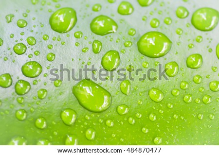 Waterdrops On Green Stock Photo 2892778 - Shutterstock