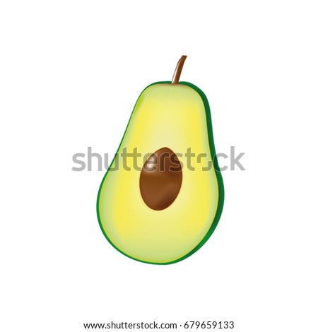 Vector Isolated Avocado On White Background Stock Vector 542077663