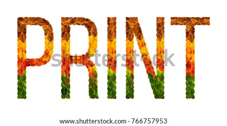 how to print a banner in word