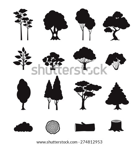 Pine Fir Christmas Tree Cedar Spruce Stock Vector 223093102 - Shutterstock