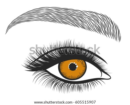 in eyelashes drawing illustrator 605515745 Bright Thick Long Vector Drawn Eyes Hand Stock